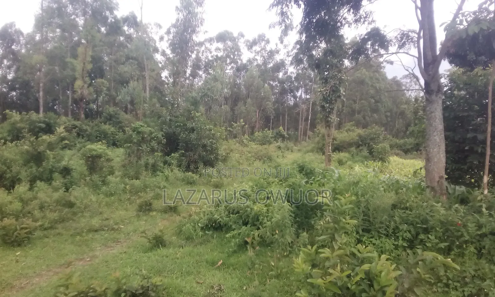 Land for Sale in Homa Bay West