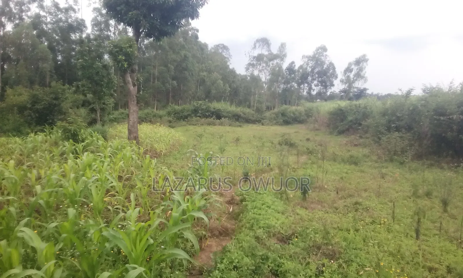 Land for Sale in Homa Bay West