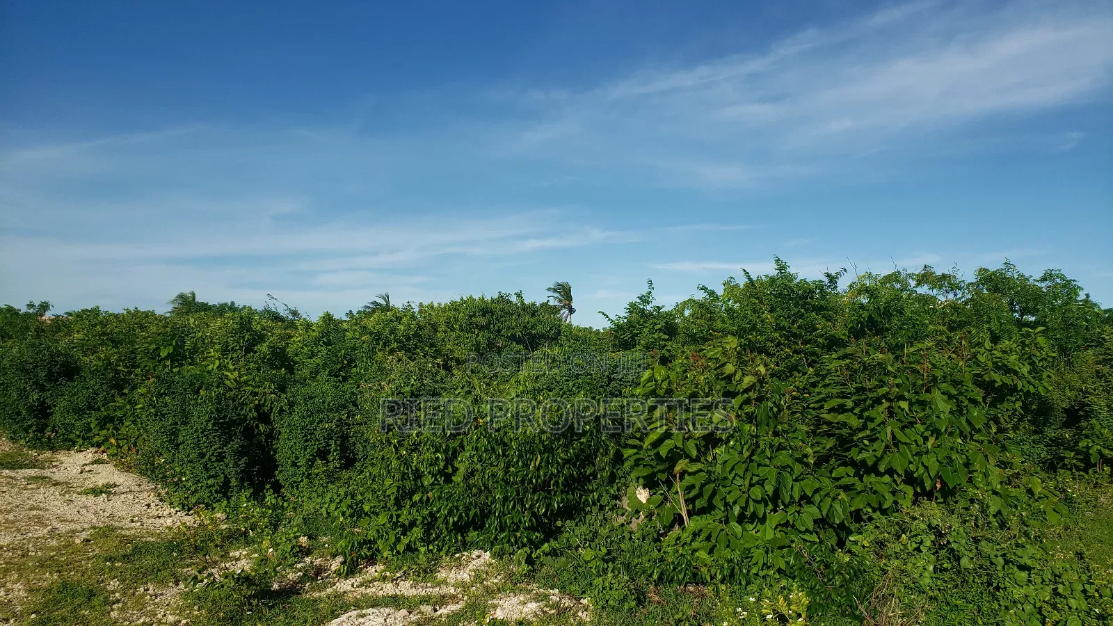 4.5 Acres Beachfront in Malindi,Watamu for Sale in Malindi