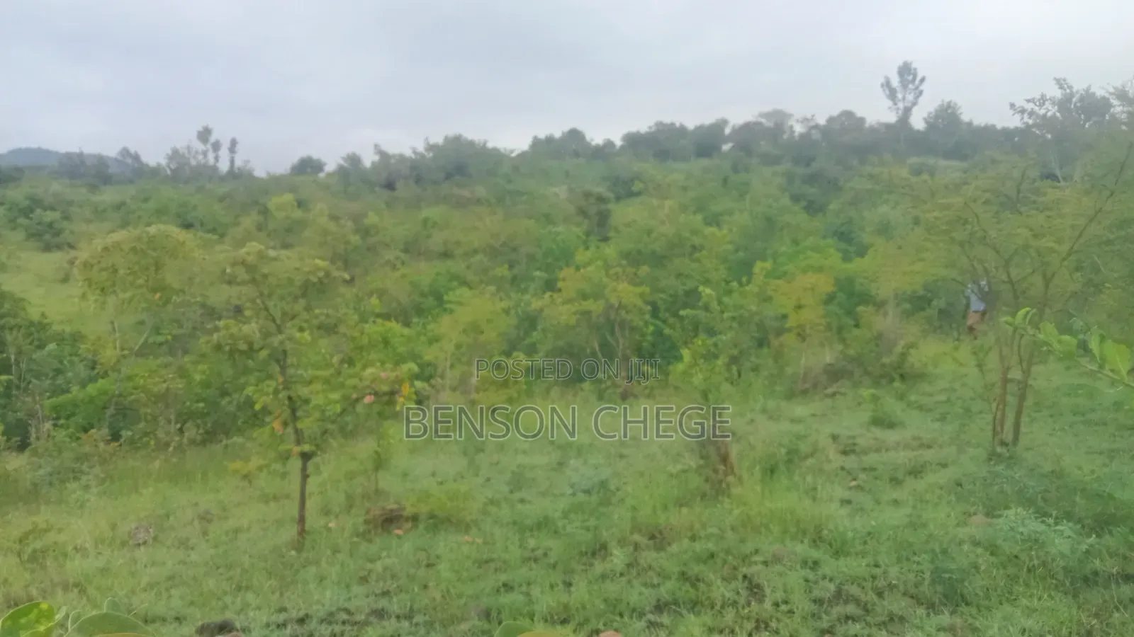 4 Acres of Land for Sale in Maragua Ridge in Kambiti