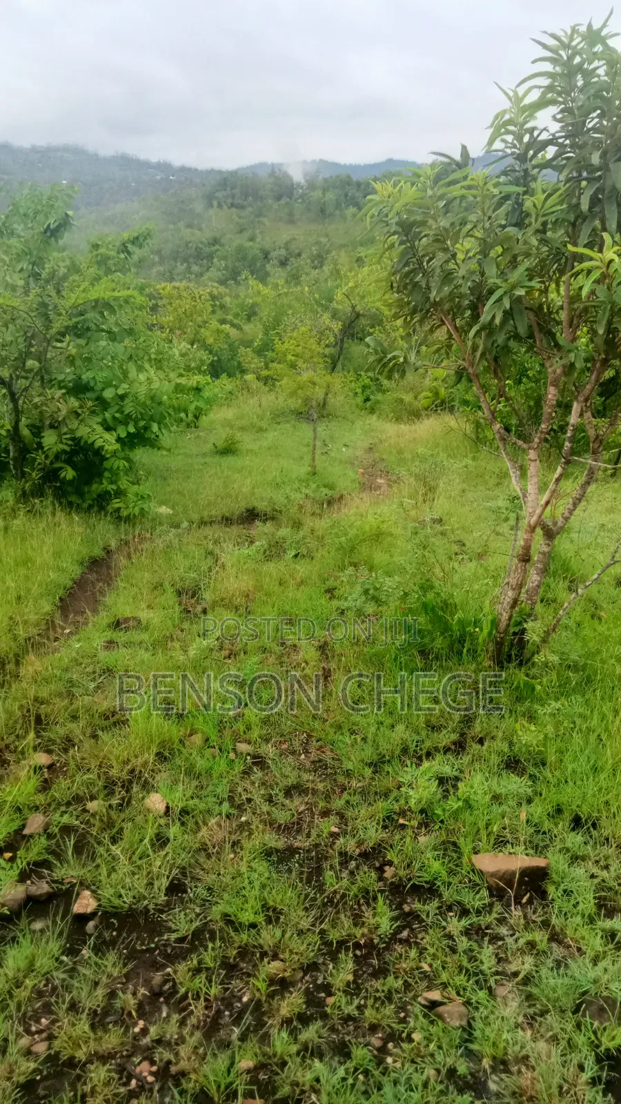 4 Acres of Land for Sale in Maragua Ridge in Kambiti