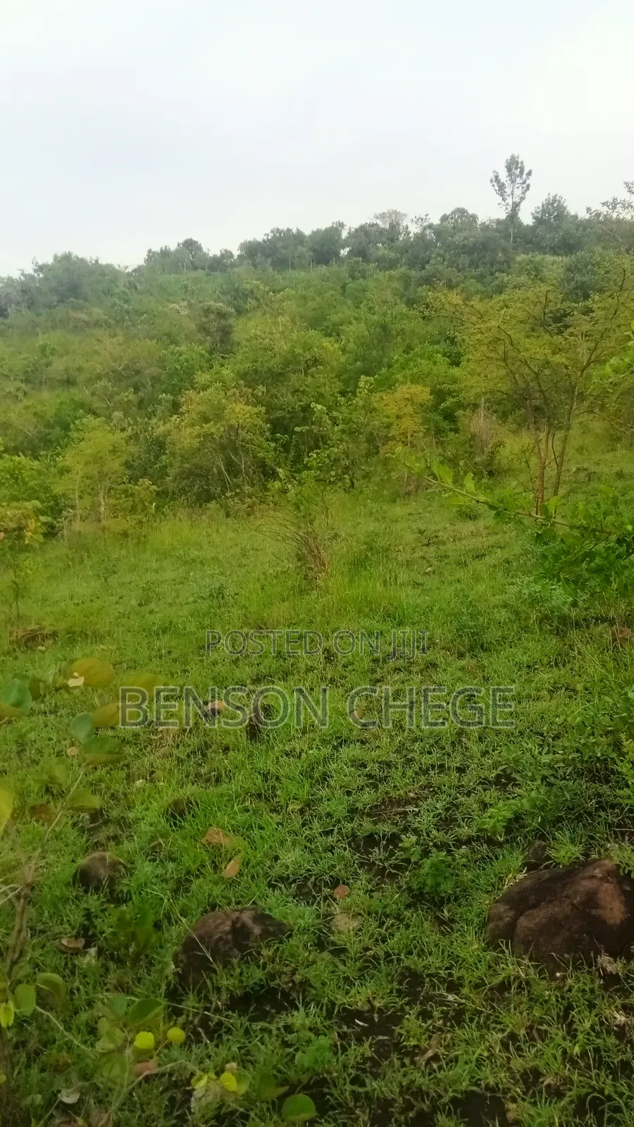 4 Acres of Land for Sale in Maragua Ridge in Kambiti