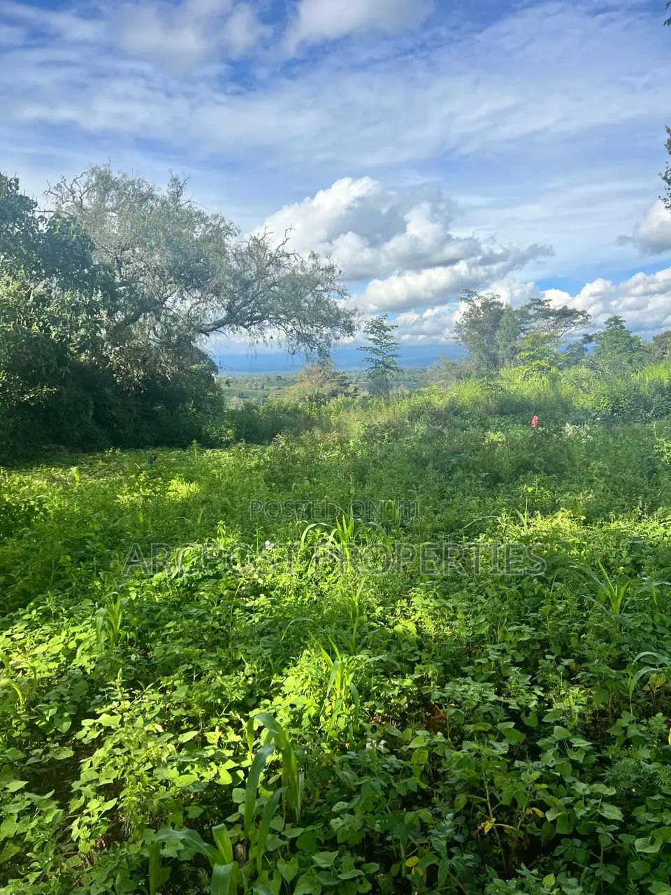 Prime Half an Acre for Sale in Kingongo Nyeri Near Highway in Rware