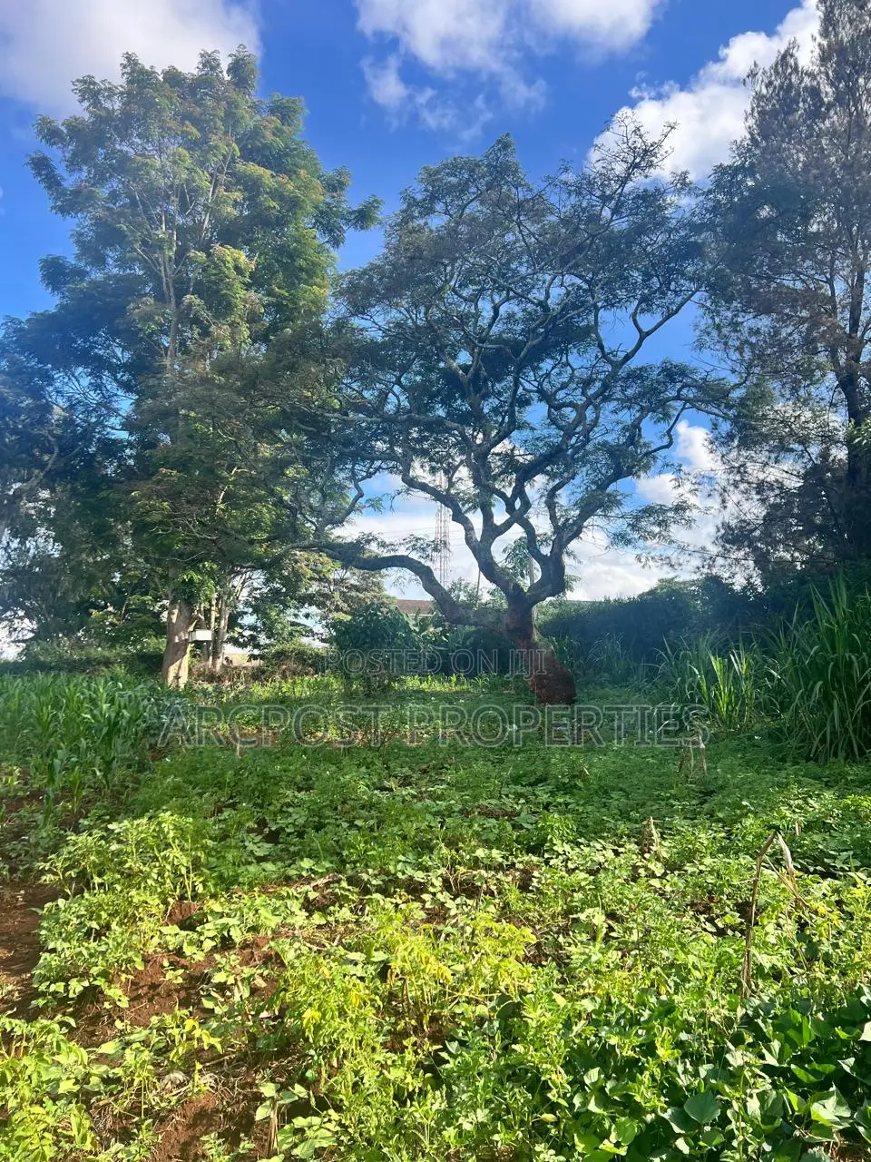 Prime Half an Acre for Sale in Kingongo Nyeri Near Highway in Rware