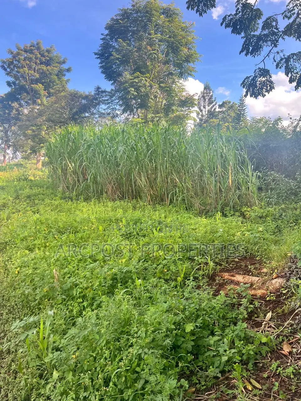 Prime Half an Acre for Sale in Kingongo Nyeri Near Highway in Rware
