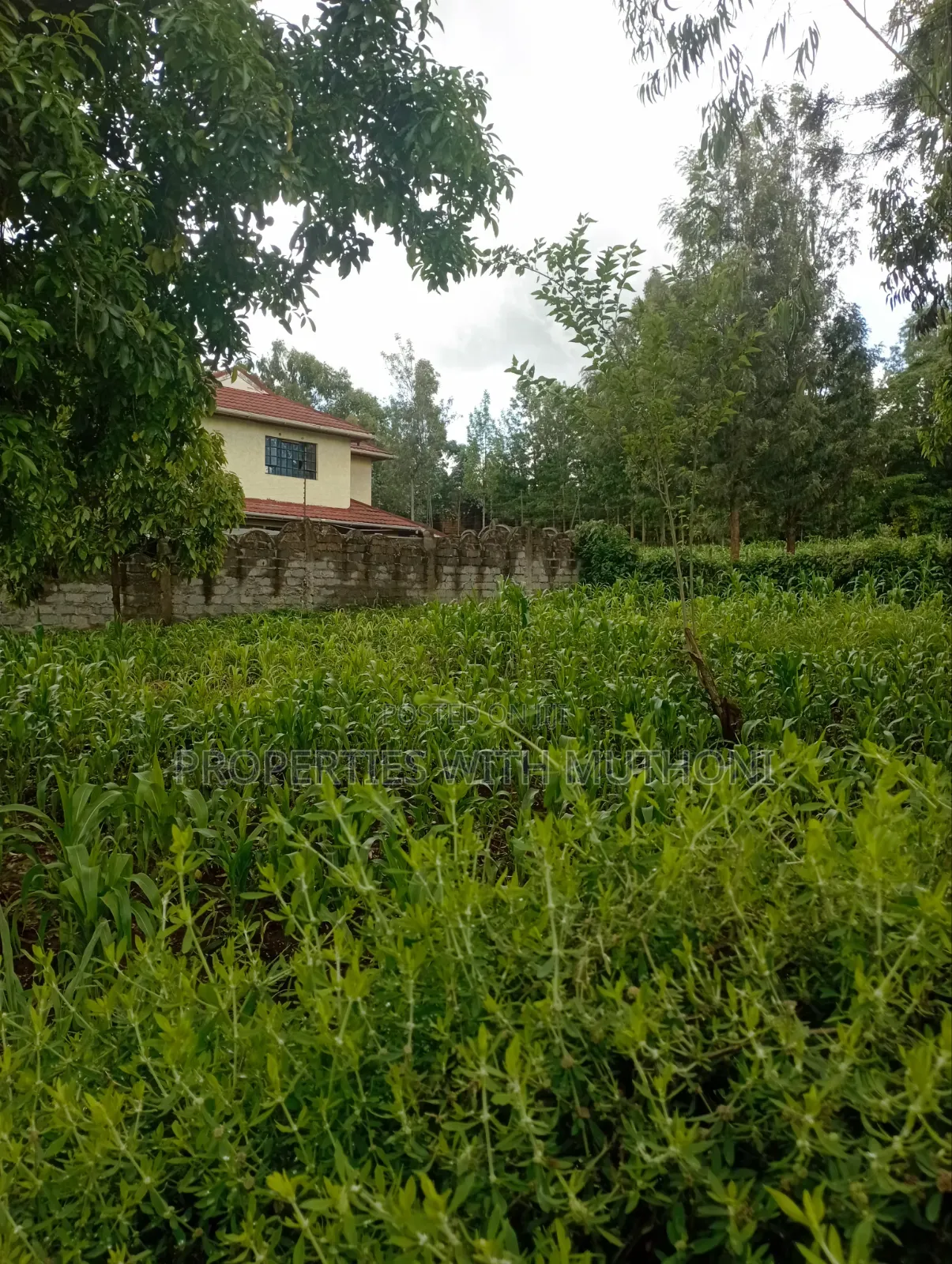 100×100 Plot for Sale in Kibiko, Ngong. in Kibiku