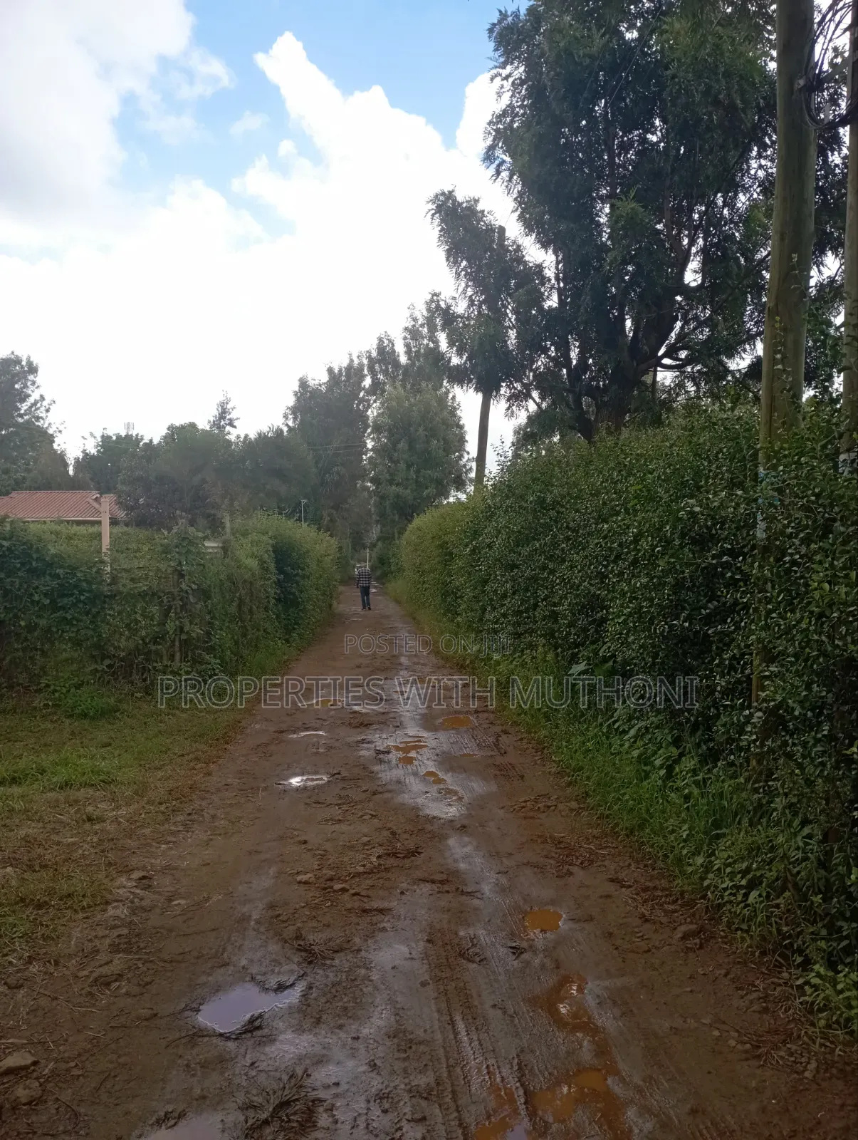 100×100 Plot for Sale in Kibiko, Ngong. in Kibiku