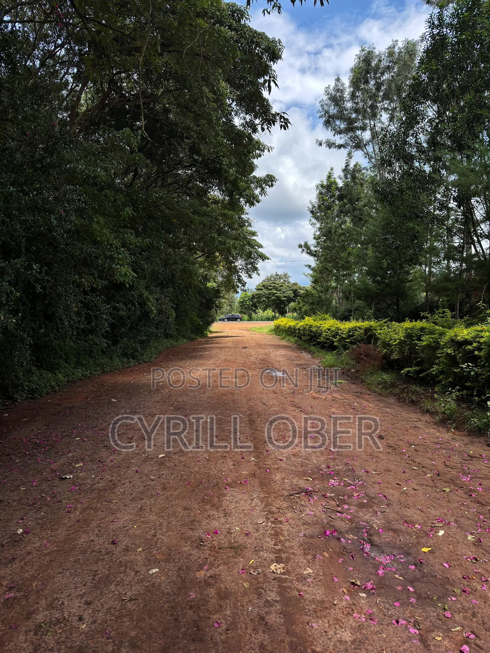 Prime 50x100 Plot for Sale – Ngoliba, Thika in Ngoliba