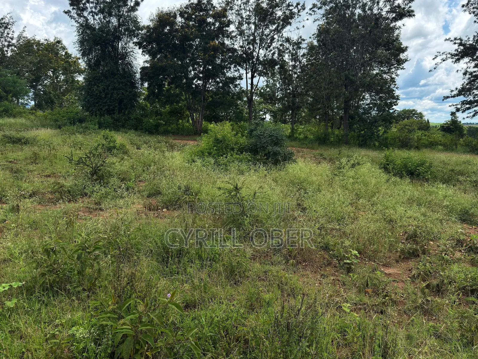 Prime 50x100 Plot for Sale – Ngoliba, Thika in Ngoliba