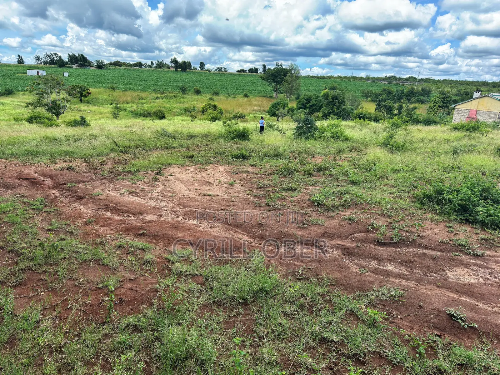 Prime 50x100 Plot for Sale – Ngoliba, Thika in Ngoliba