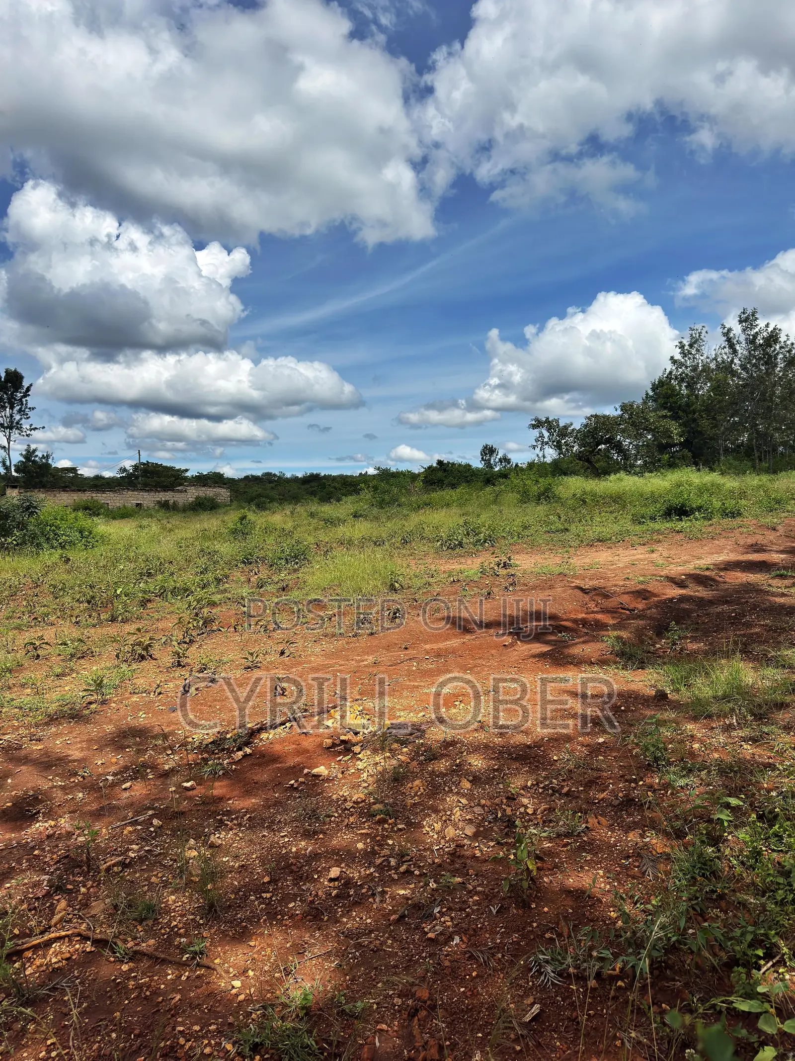 Prime 50x100 Plot for Sale – Ngoliba, Thika in Ngoliba