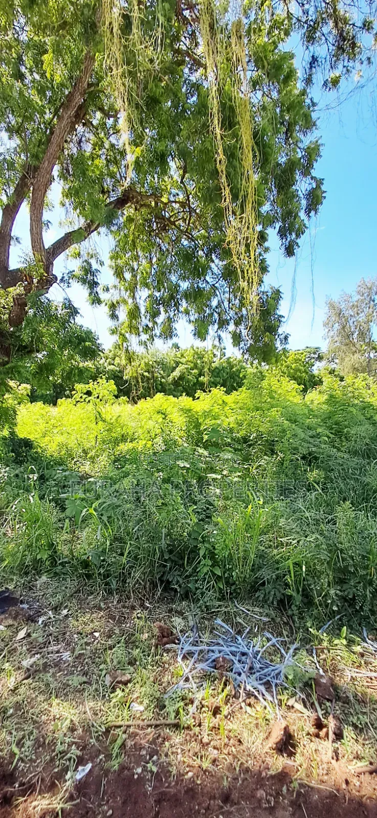 For Sale Prime 1.7 Acres Land Nyali in Utange