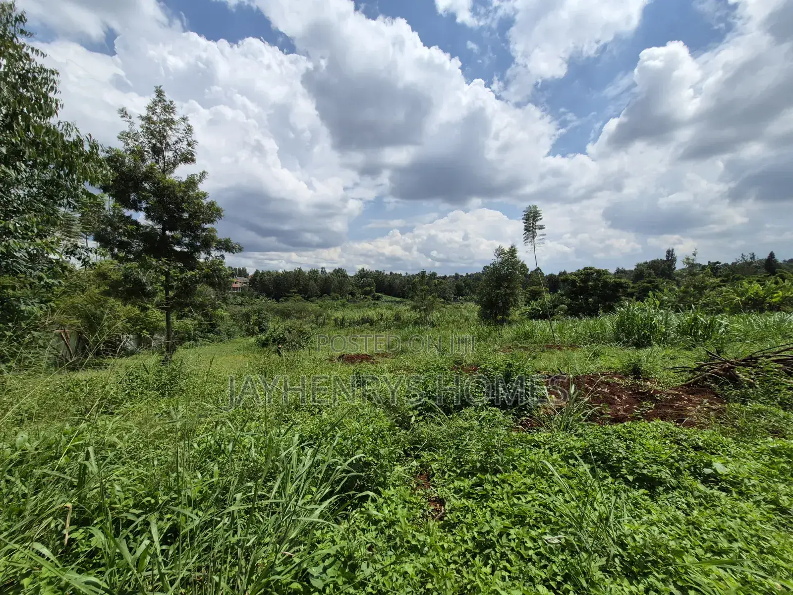 Half Acre Plot for Sale Along Njathaini Rd,Off Kiambu Rd in Thindigua/Kasarini