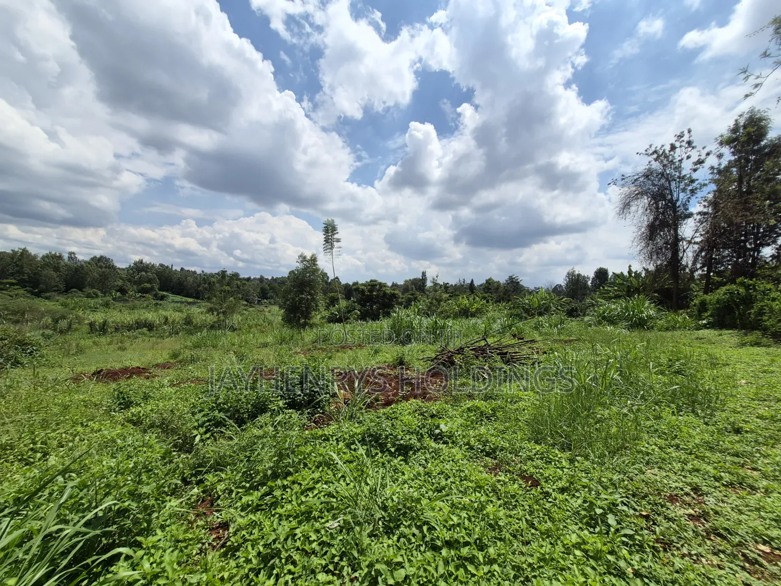 Half Acre Plot for Sale Along Njathaini Rd,Off Kiambu Rd in Thindigua/Kasarini