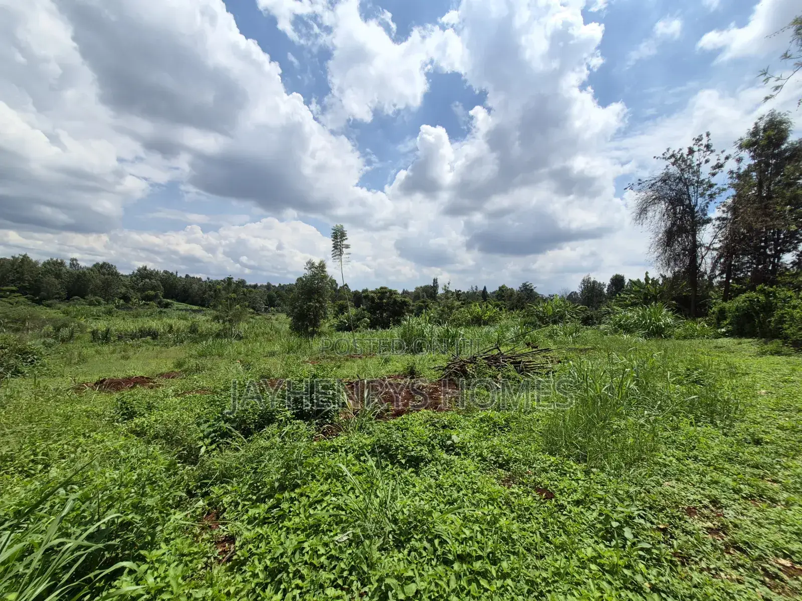 Half Acre Plot for Sale Along Njathaini Rd,Off Kiambu Rd in Thindigua/Kasarini