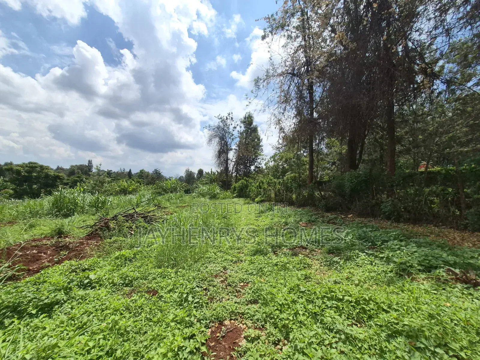 Half Acre Plot for Sale Along Njathaini Rd,Off Kiambu Rd in Thindigua/Kasarini