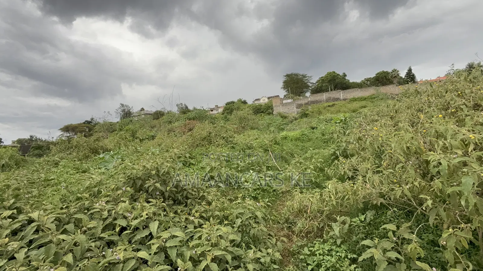 3/4 Acre for Sale in Nakuru Milimani in Milimani Estate