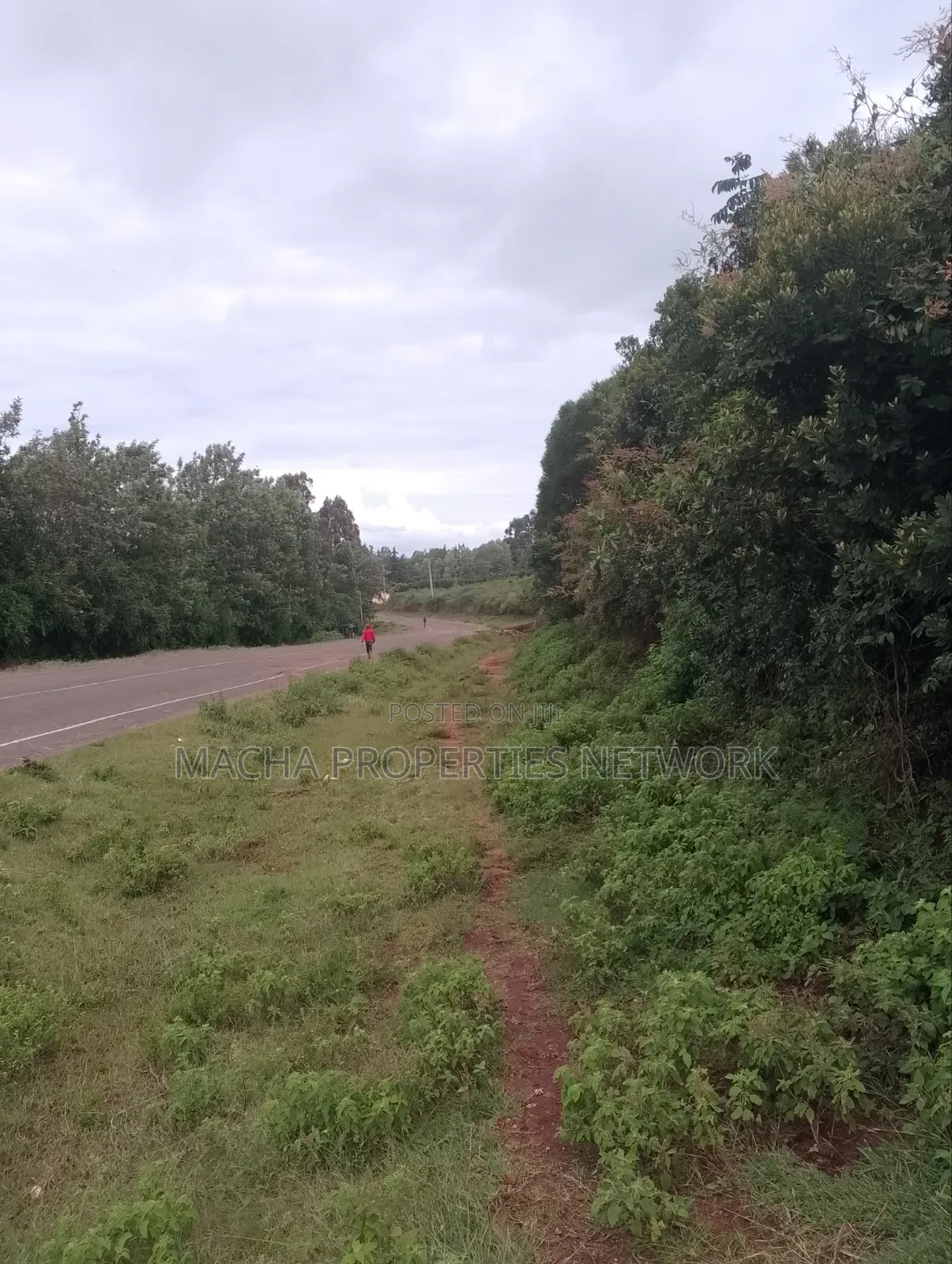 1/4 Quarter Plot Mua Hills Fronting Tarmac Road in Mua Hills