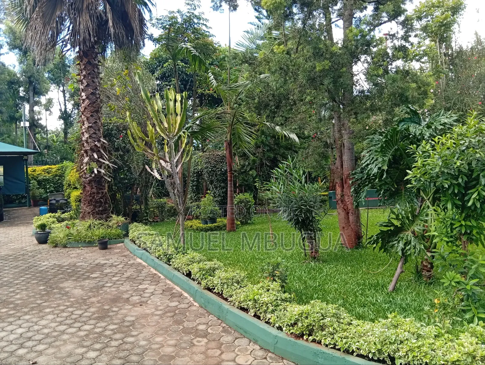 2bdrm House in Karen for rent in Karen