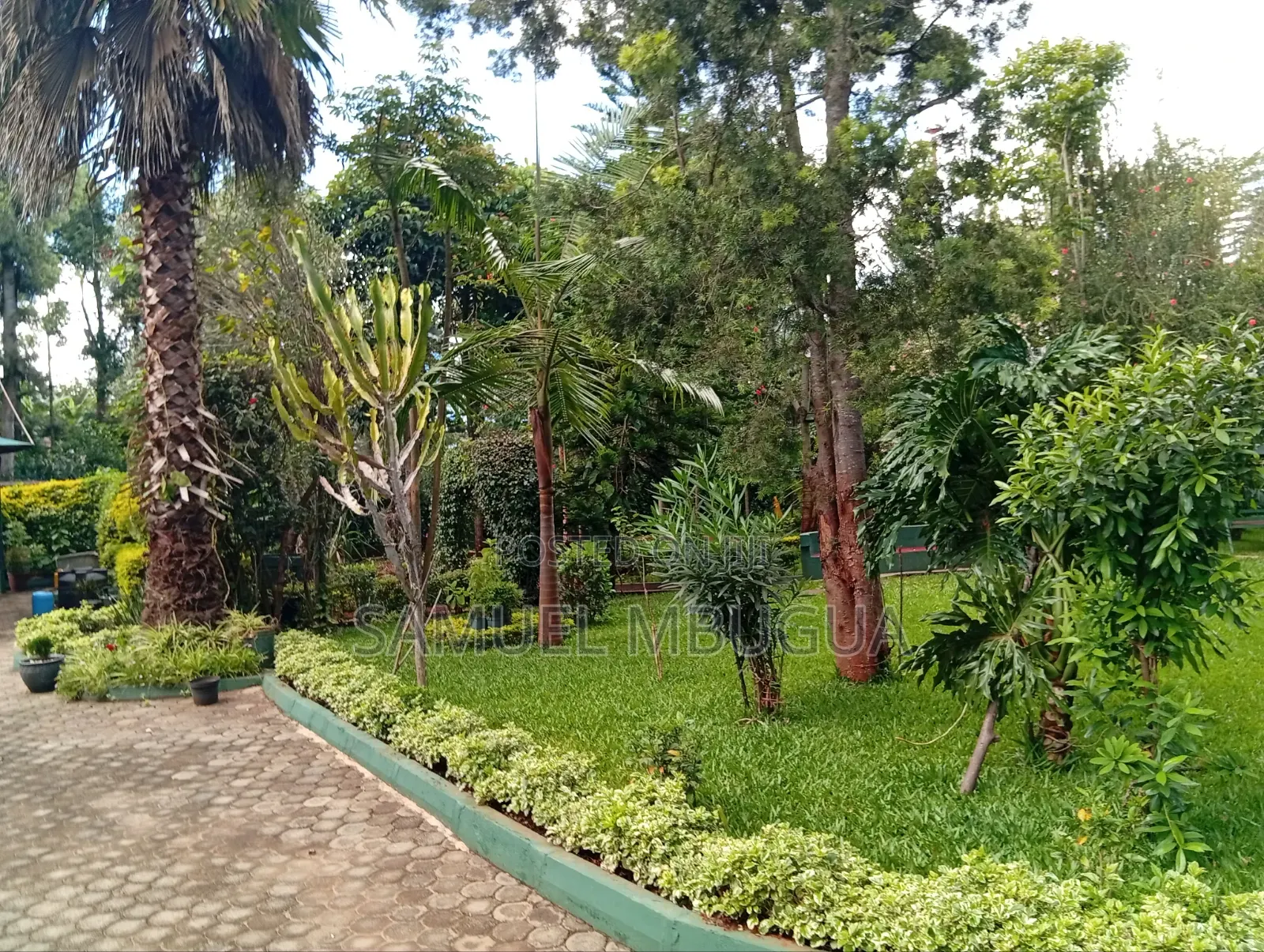 2bdrm House in Karen for rent in Karen