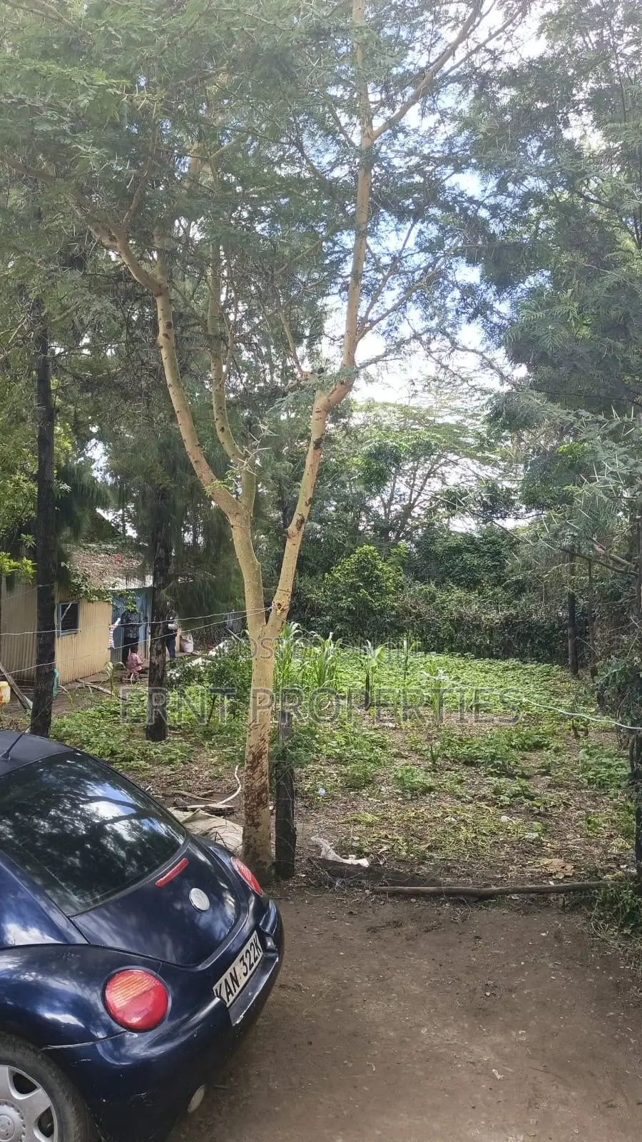 Corner Plot With 2br House for Sale in Airview Estate, Kitengela in Kitengela