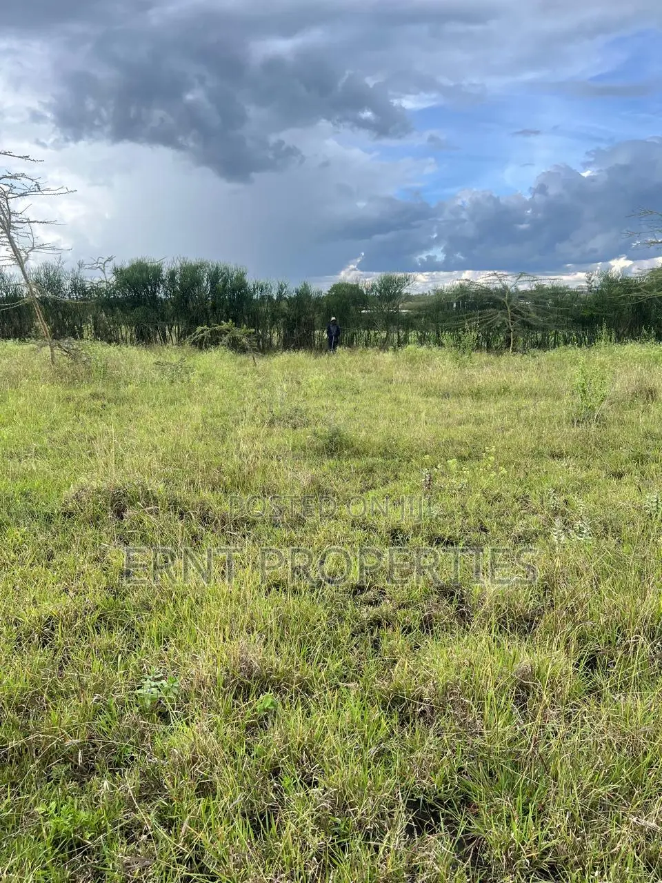 50x100 Plots Kinanie Near Daystar .Pay 1m Cash or 1.2m in Installments in Kinanie