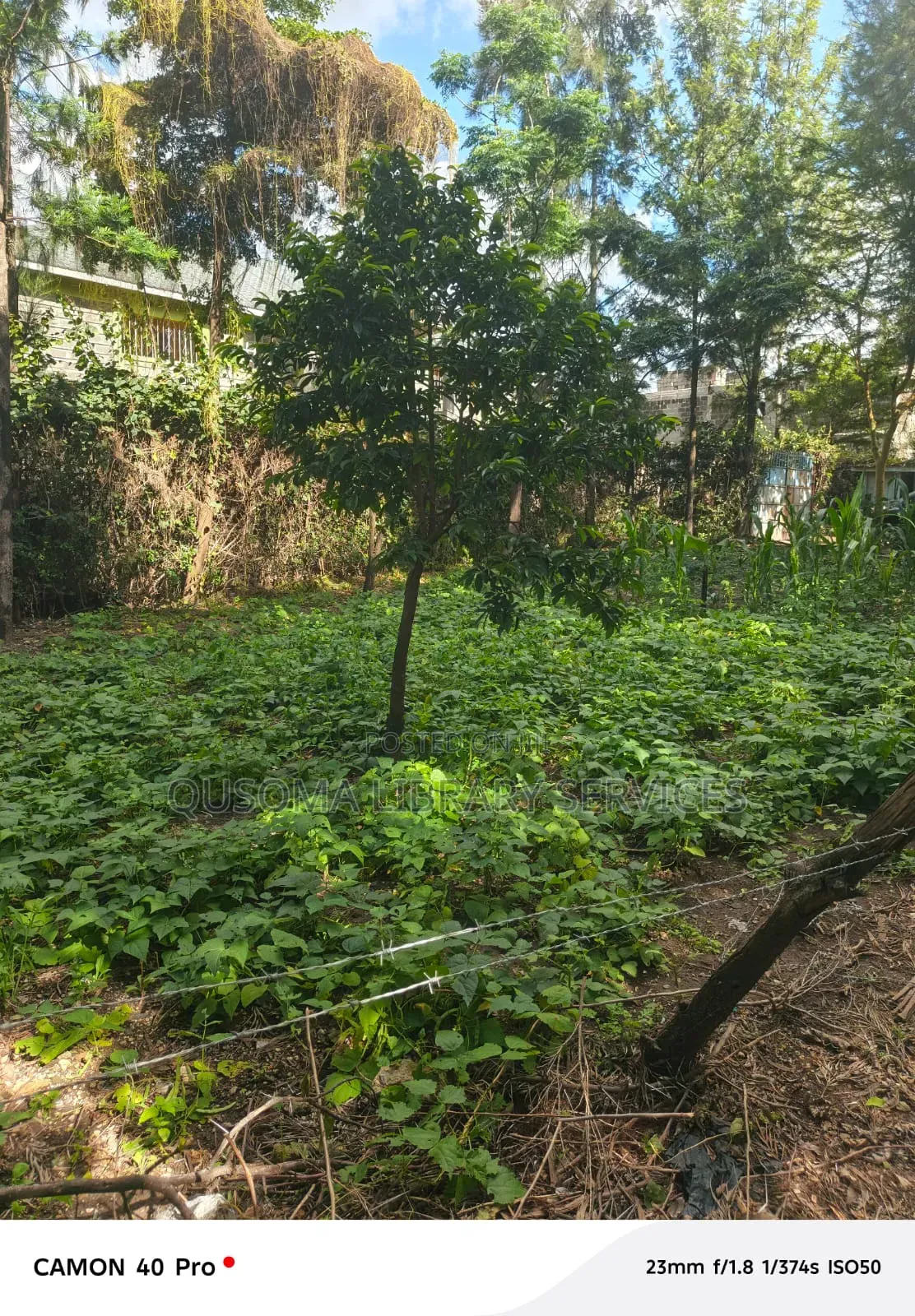 2bdrm Bungalow in Kitengela for sale in Kitengela
