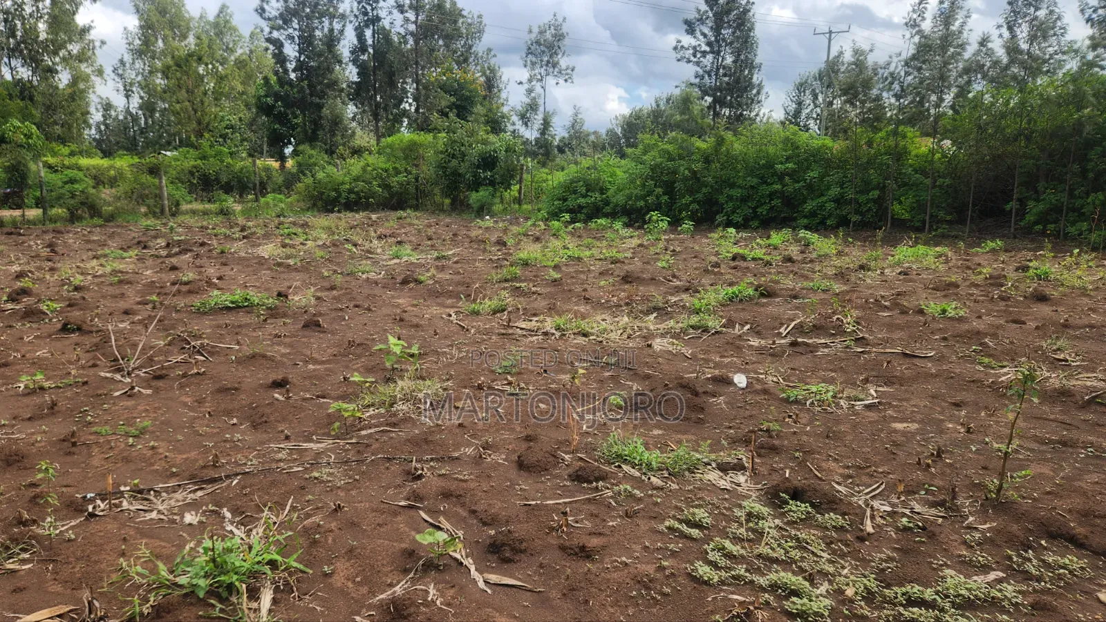 Sagana Kagio 3 Acres in Makutano
