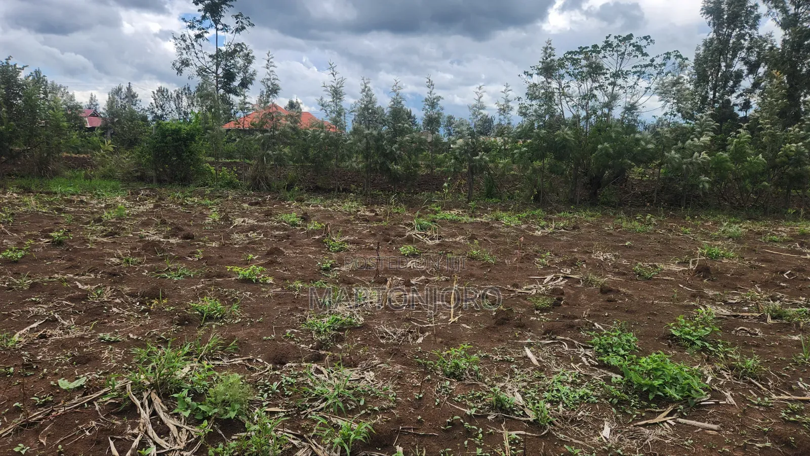Sagana Kagio 3 Acres in Makutano