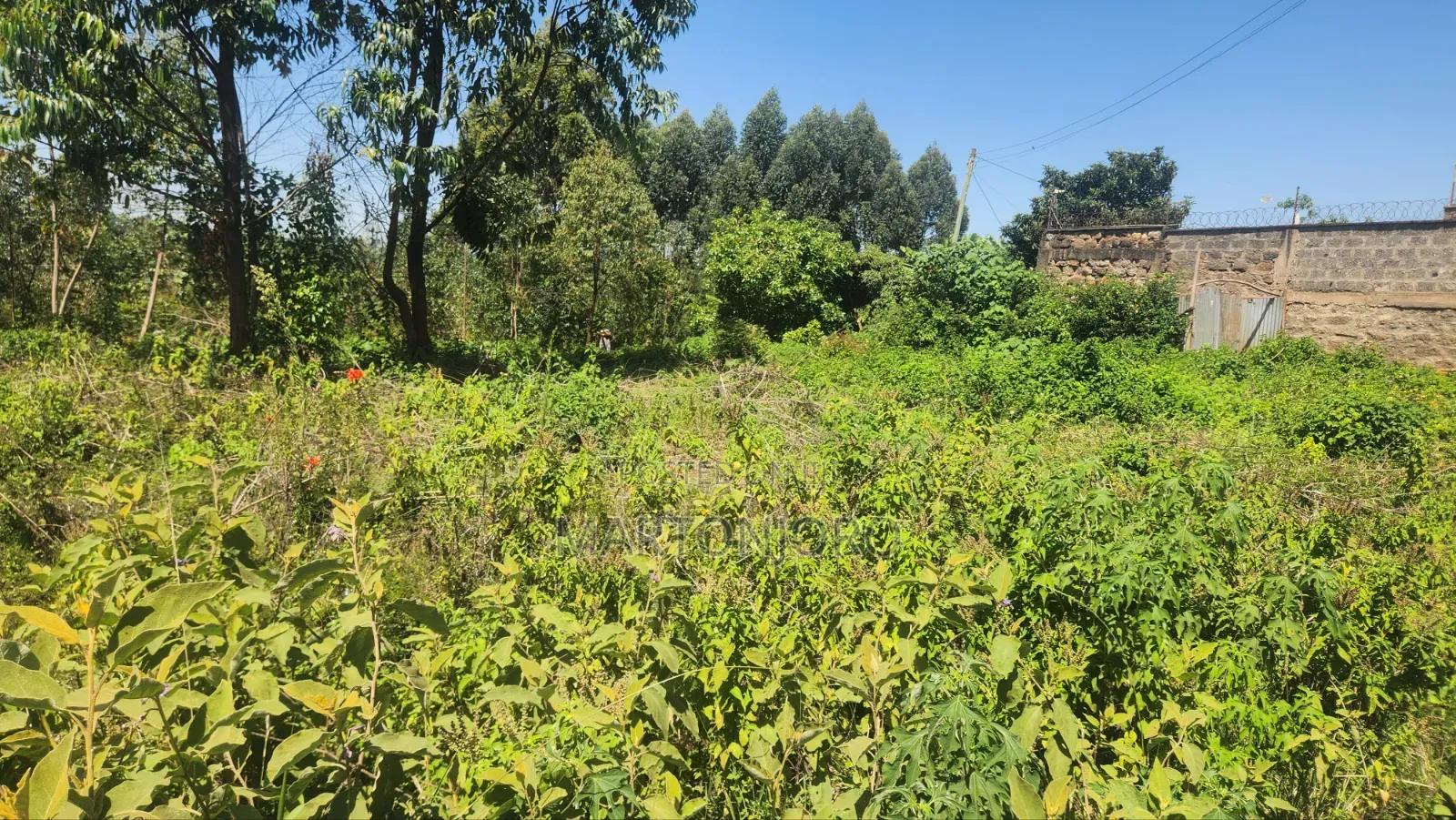 5acres Makutano [ Sagana] in Makutano