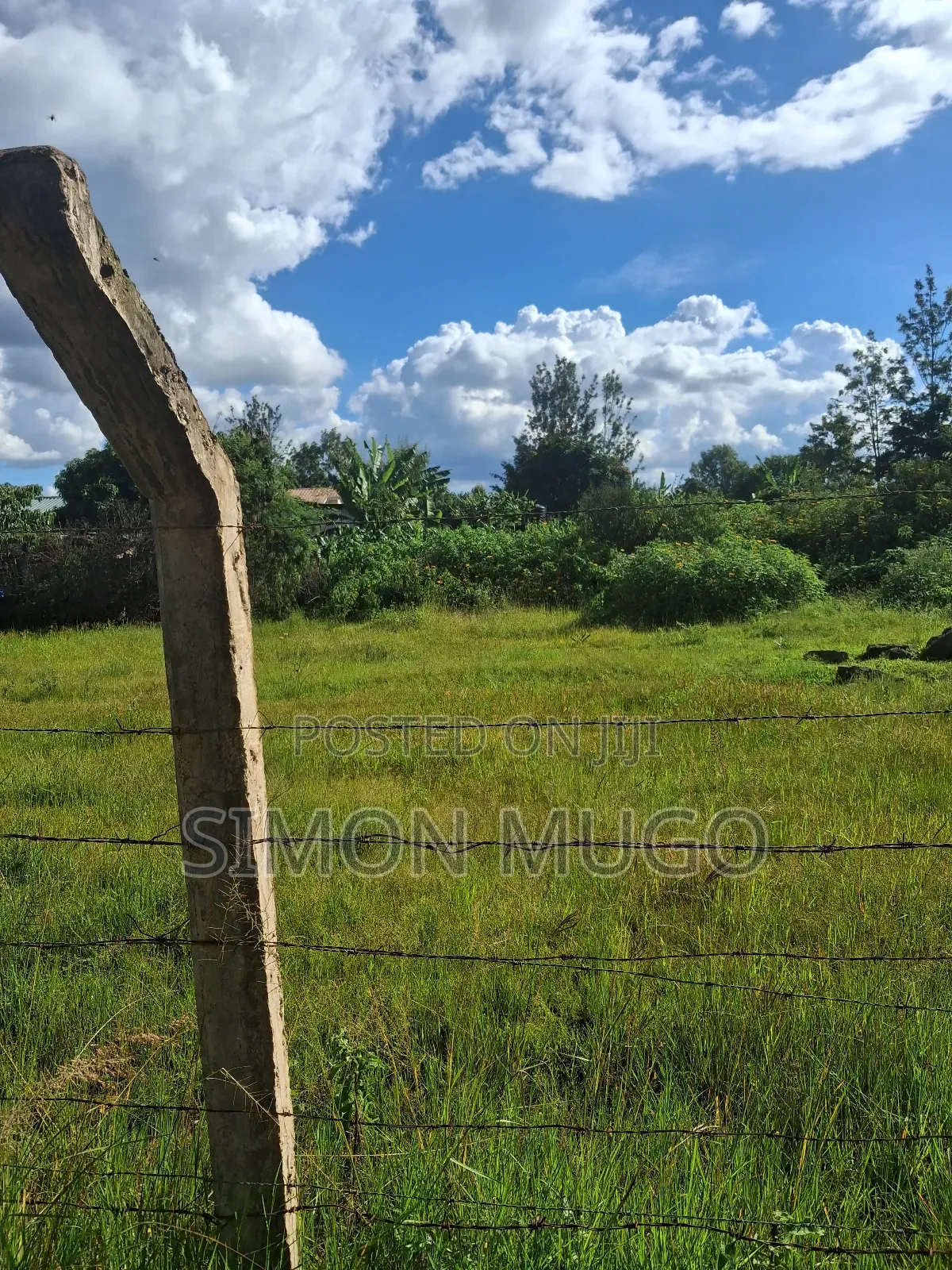 Ruiru Mugutha Prime 100x125 Residential Plot Off Kiganjo Road in Kimbo