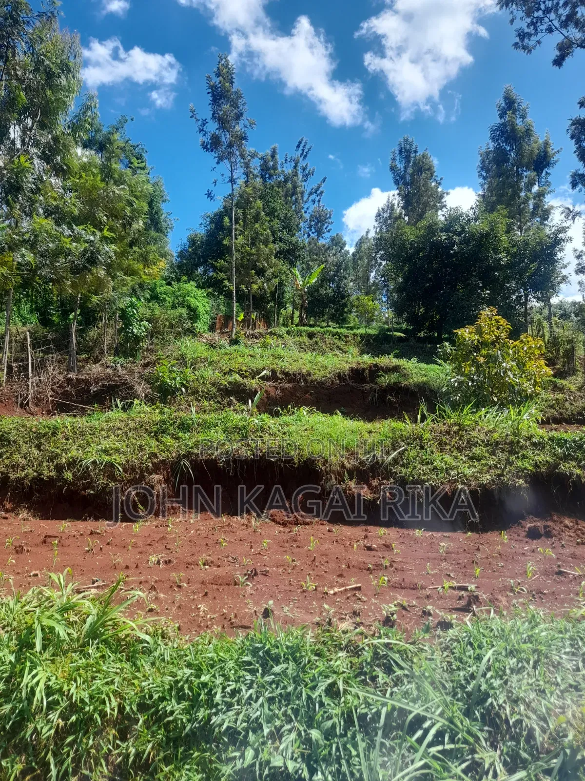Near Thika Greens in Ng'Araria