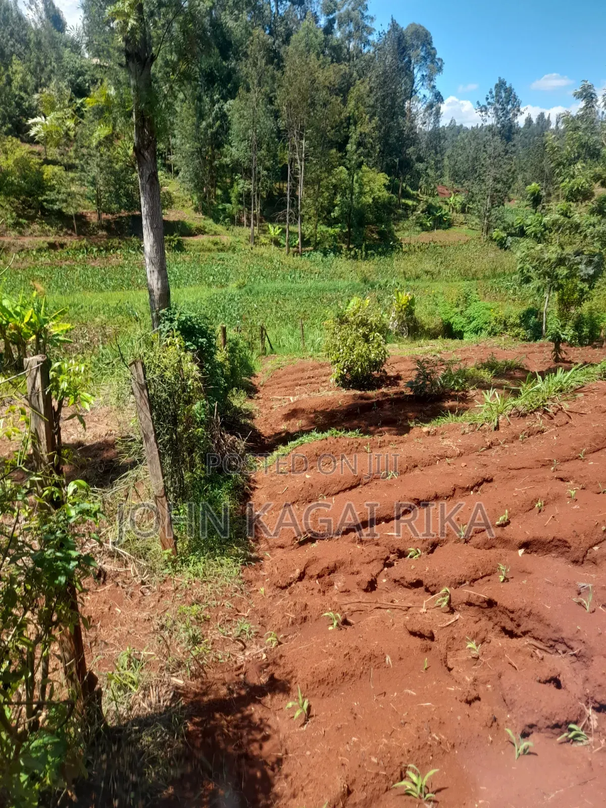 Near Thika Greens in Ng'Araria