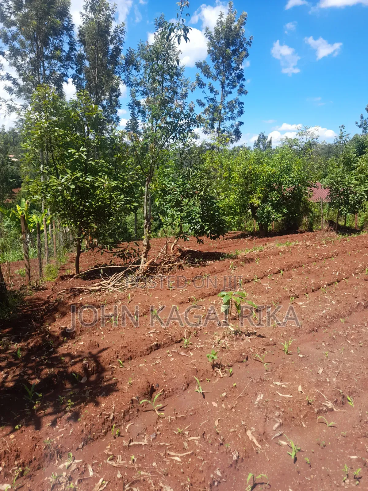 Near Thika Greens in Ng'Araria