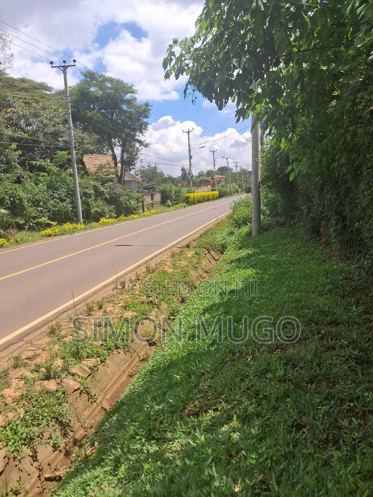 Ridgeways Prime Well Drained Red Soil 1/2 Acre in Ridgeways
