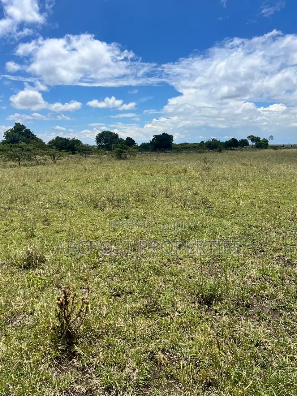 Prime 50 Acre Ranch for Sale in Mweiga Nyeri Near Tarmac in Kiganjo