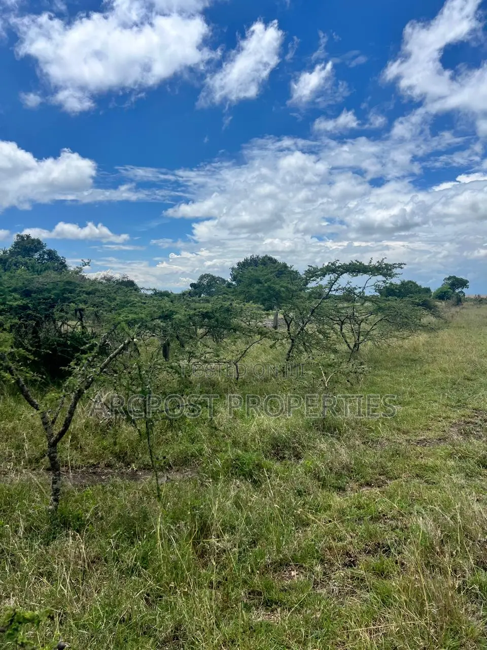 Prime 50 Acre Ranch for Sale in Mweiga Nyeri Near Tarmac in Kiganjo