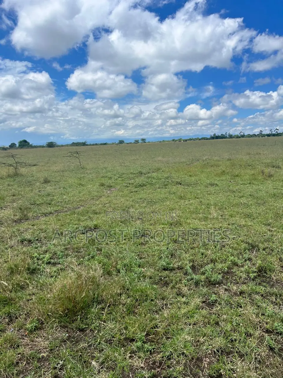 Prime 50 Acre Ranch for Sale in Mweiga Nyeri Near Tarmac in Kiganjo