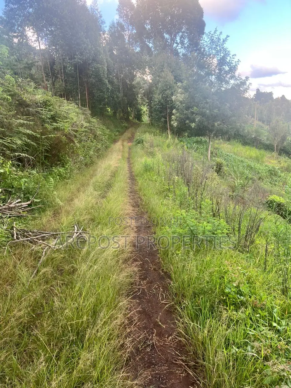 2 Acre Fertile Agricultural Land for Sale in Ndunyu Mahiga Nyeri in Mahiga