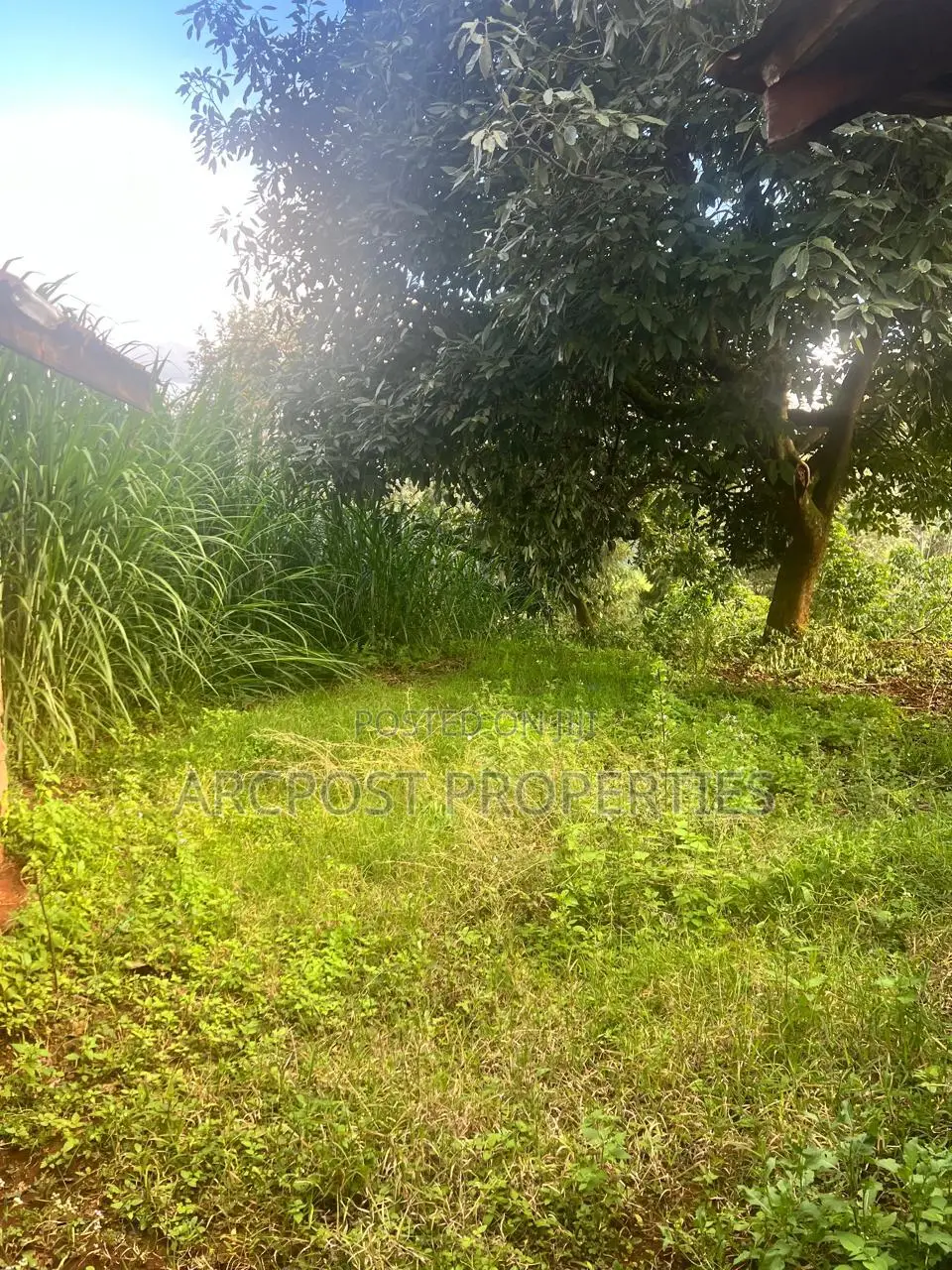 2 Acre Fertile Agricultural Land for Sale in Ndunyu Mahiga Nyeri in Mahiga