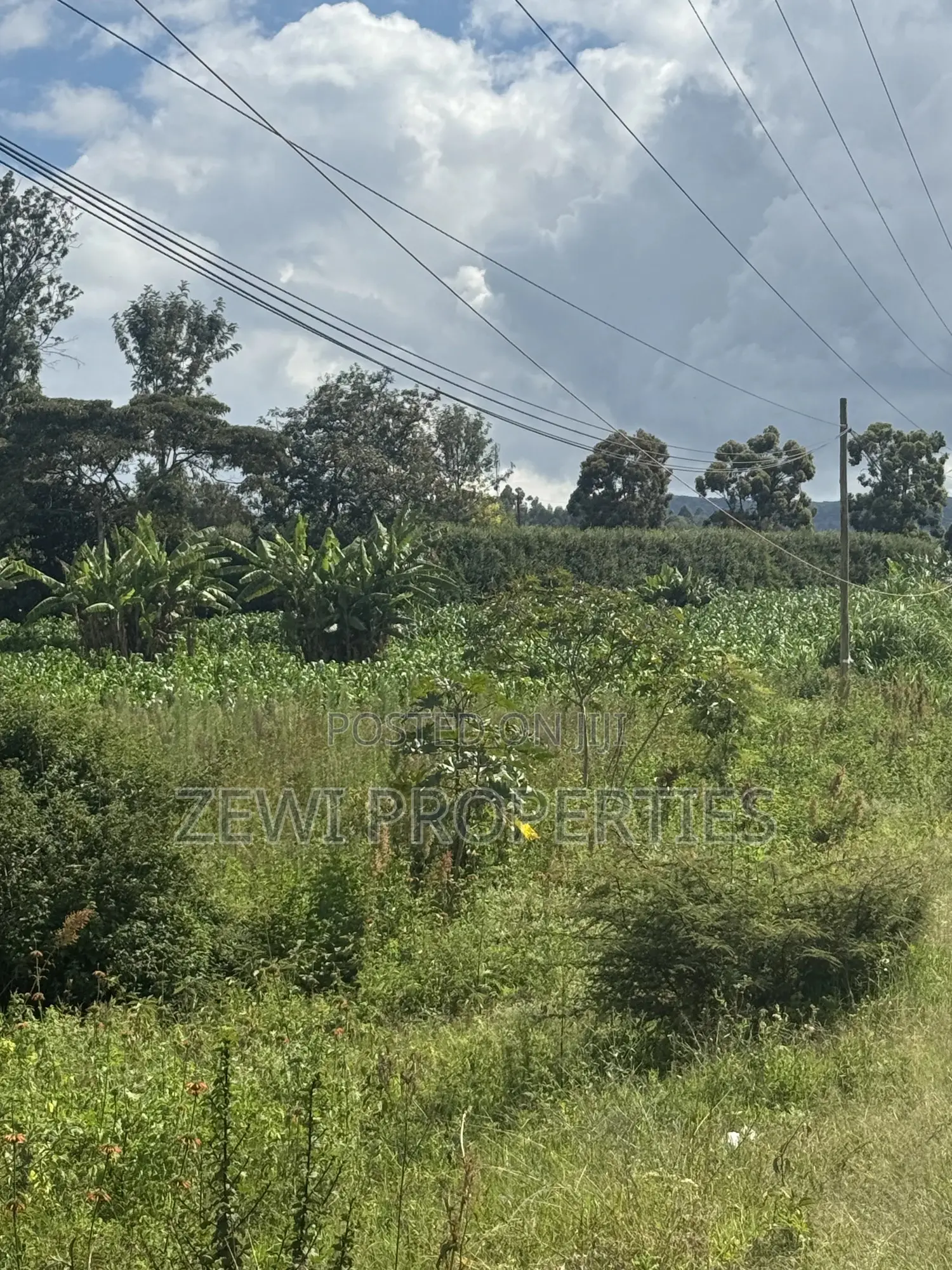 Prime 9 Acre Block Olkeri in Ol Keri