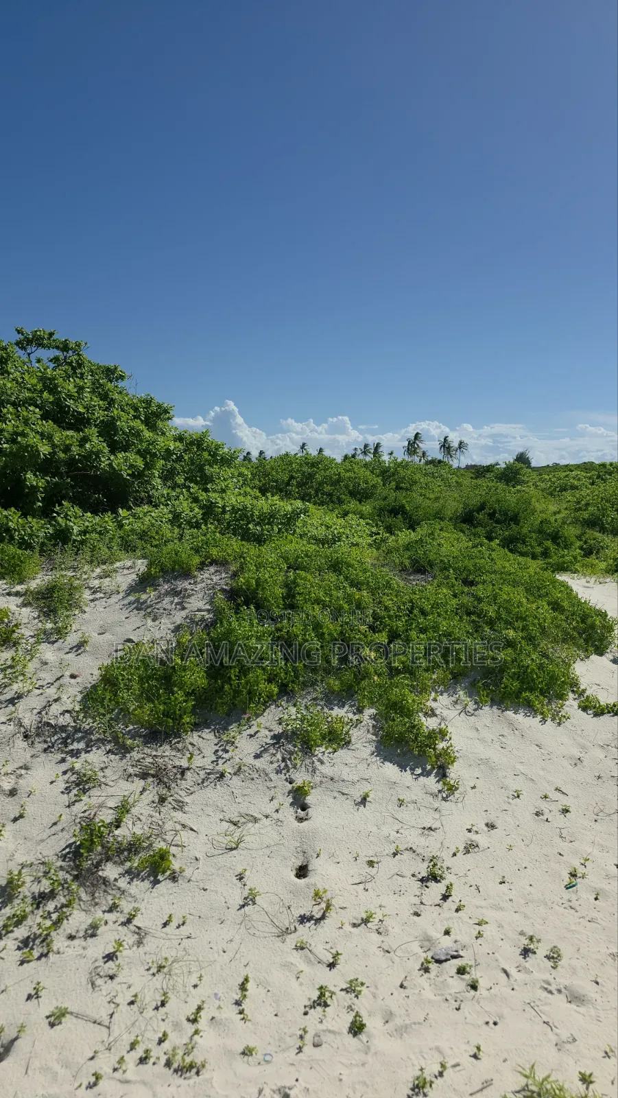 12 Acres Beachfront Watamu St Thomas Area for Sale as a Block in Watamu