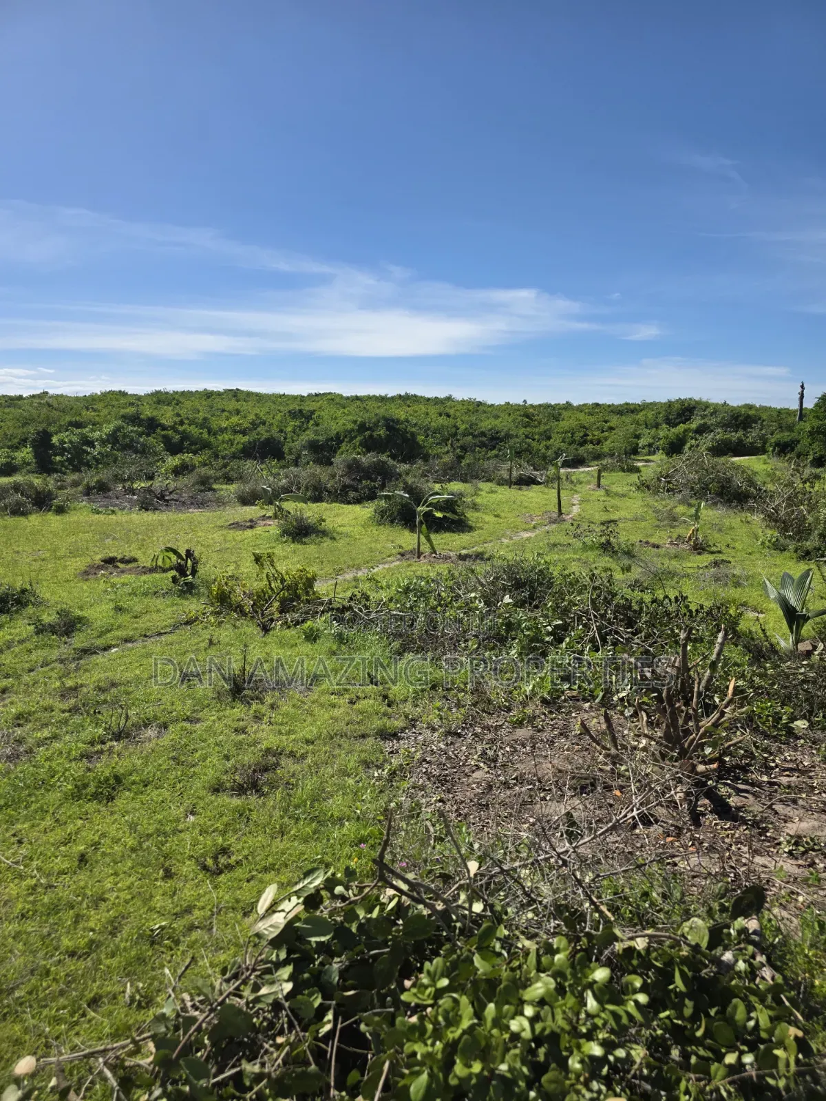 12 Acres Beachfront Watamu St Thomas Area for Sale as a Block in Watamu