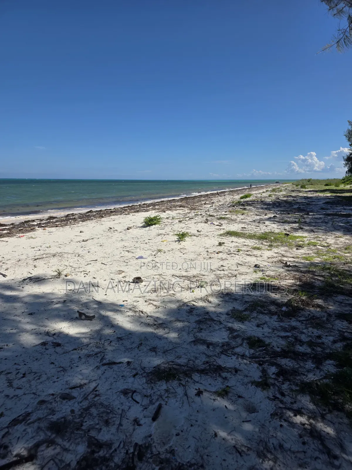 12 Acres Beachfront Watamu St Thomas Area for Sale as a Block in Watamu