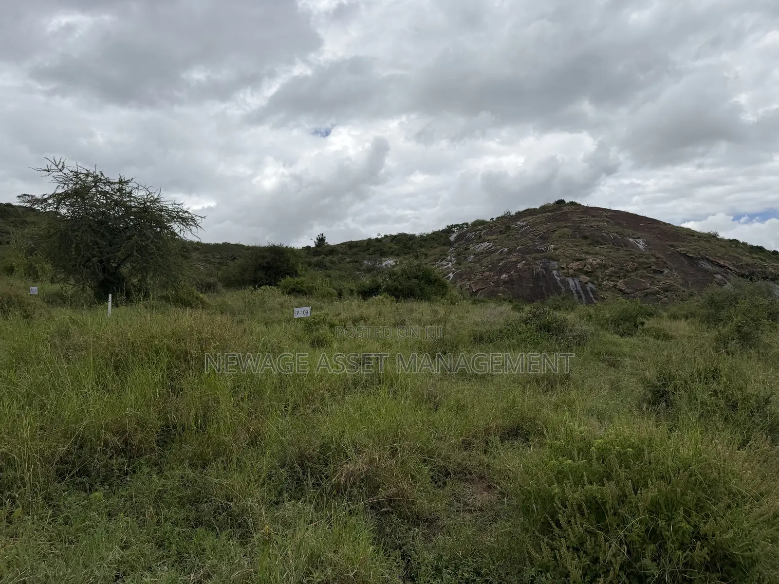 Self Build 1/4 Acre Plots in Lukenya Plains Nairobi Kenya in Mavoko