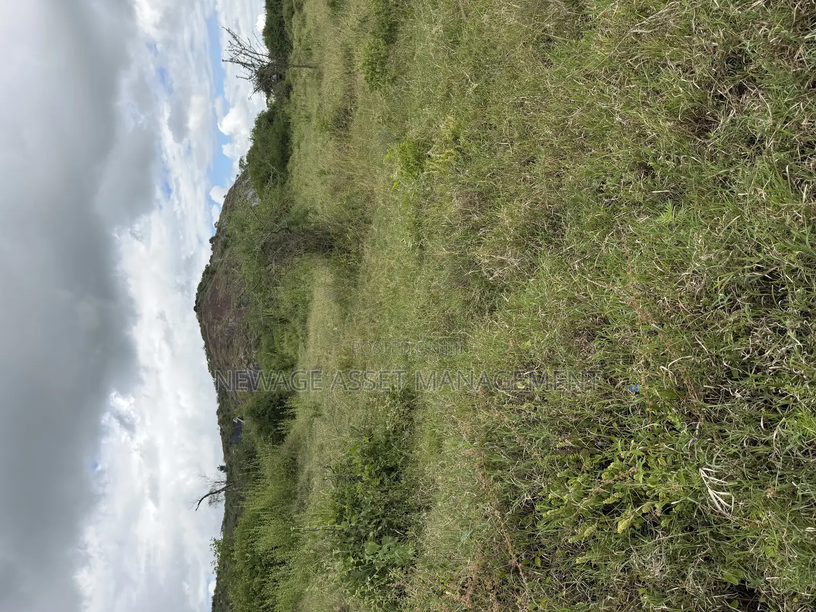 Self Build 1/4 Acre Plots in Lukenya Plains Nairobi Kenya in Mavoko