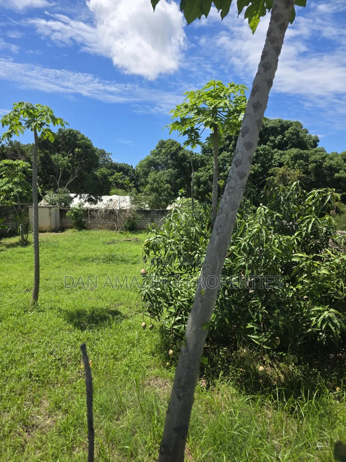 50 by 100 Plot Mtwapa Kizingitini for Sale Fully Fenced With Perimeter in Mtwapa