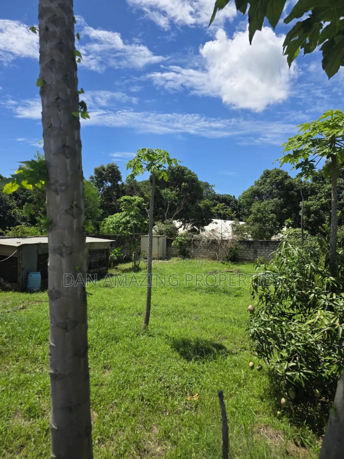 50 by 100 Plot Mtwapa Kizingitini for Sale Fully Fenced With Perimeter in Mtwapa