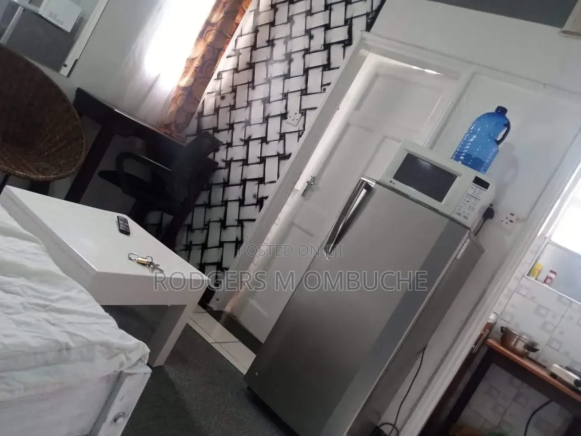 Furnished Studio Apartment in Raphta Road Area for rent in Raphta Road Area