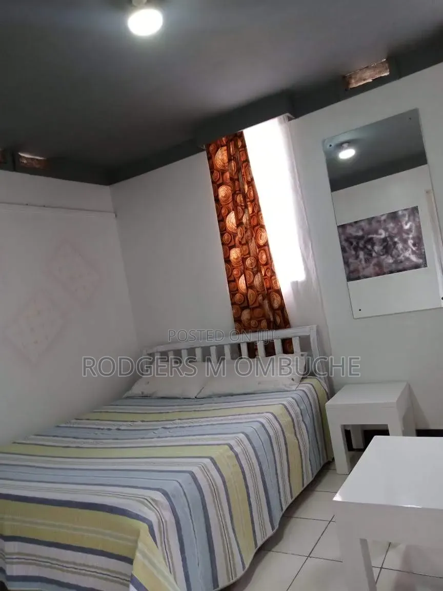 Furnished Studio Apartment in Raphta Road Area for rent in Raphta Road Area